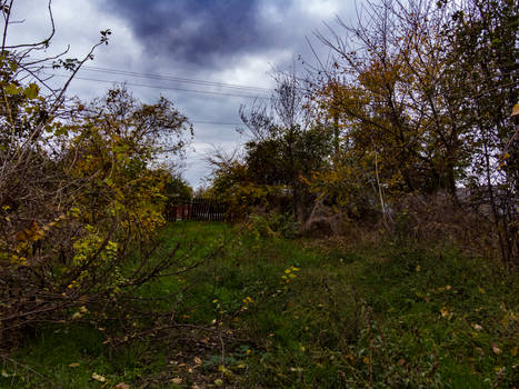 Grandparents Abandoned House #15