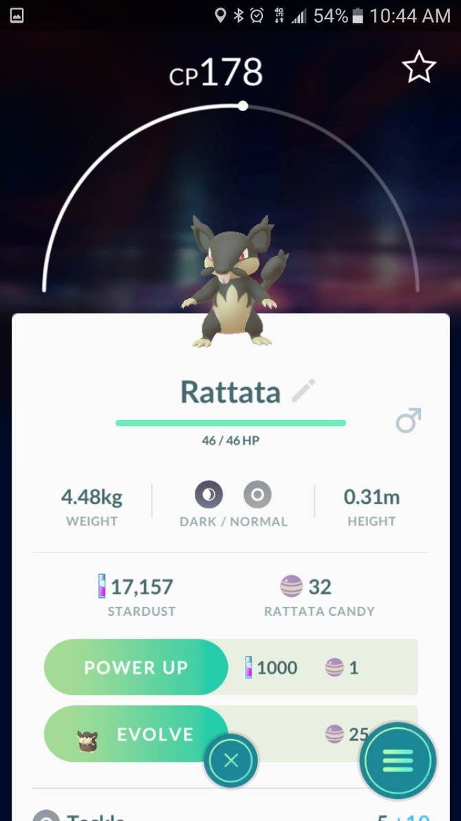 Alolan Rattata by ThiefsShadowWolf on DeviantArt