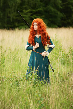 Pixar's Brave: Merida I