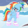 Winter Dashie