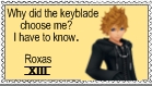 Roxas XIII Organization XIII