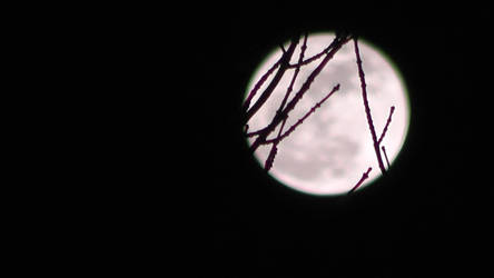 Supermoon 1