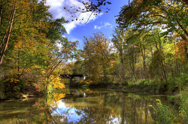 Fall Reflections