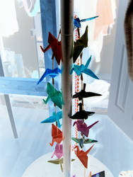 Paper Cranes...