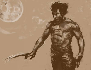 wolverine