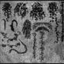 Vines Brushes Set 1
