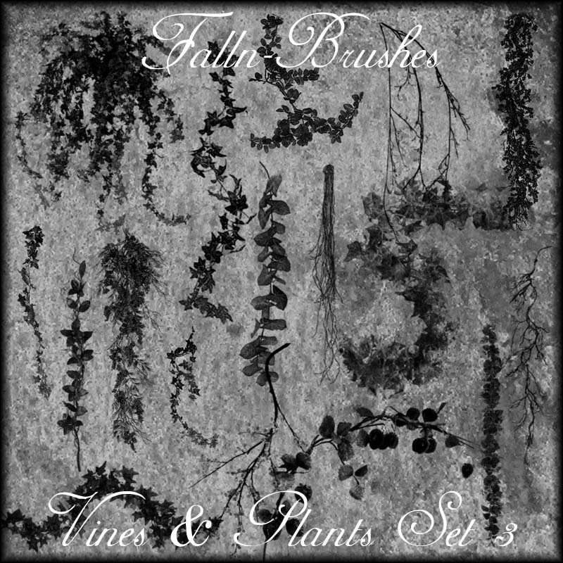 Vines And Plants Brushes Set 3 by Falln-Brushes