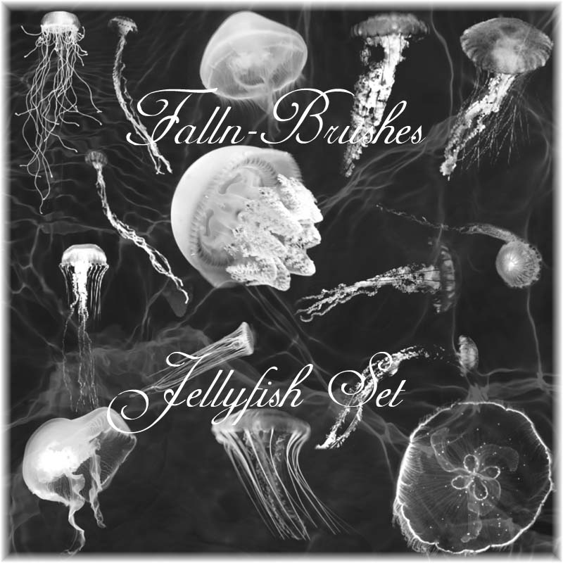 Jellyfish Brushes Set by Falln-Brushes