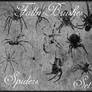 Spider Brushes Set 1