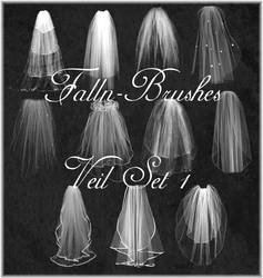 Veil Brushes Set 1