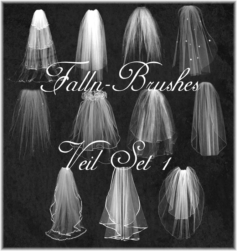 Veil Brushes Set 1