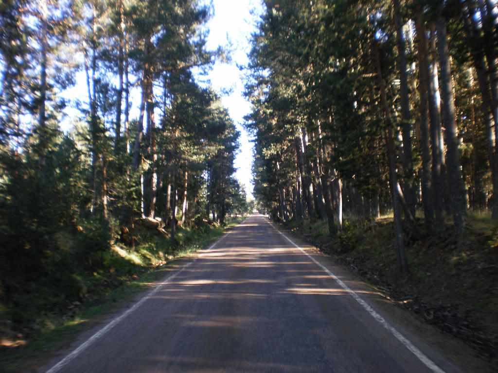 Carretera Siera de Bronchales