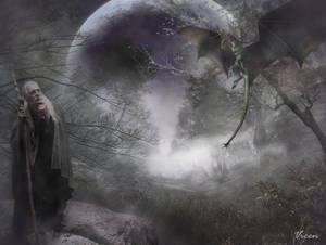 Remembering Merlin_Recordando a Merlin by Mvicen Remembering Merlin_Recordando a Merlin by Mvicen
