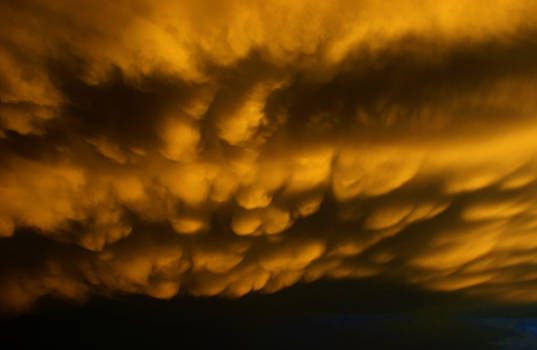 tornado watch... Phoenix.