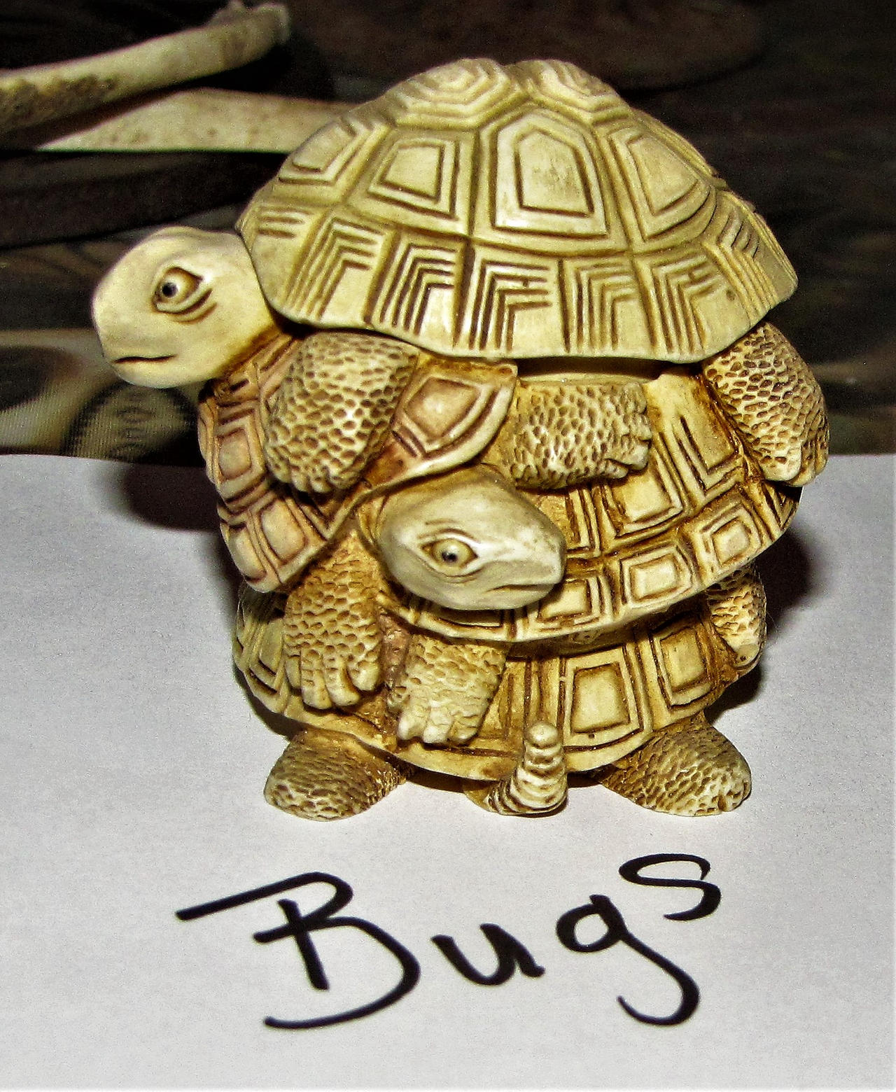 two turtle bugs.... by shotsfiredimagedown on DeviantArt