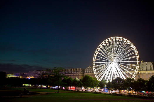 Paris Eye