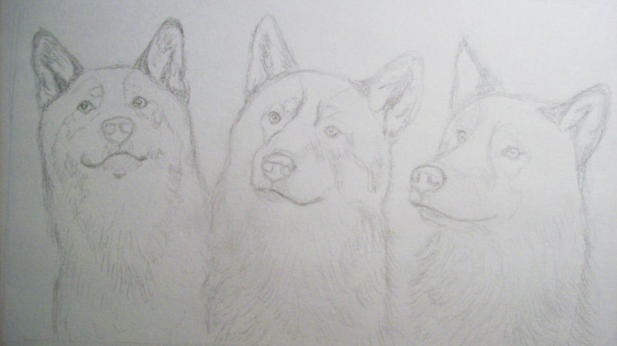 Three Wolves - Outline by karlalii on DeviantArt