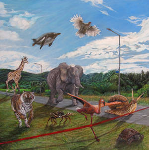 The race by 13PaVel The race by 13PaVel
