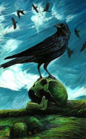 Trace of time by 13PaVel Trace of time by 13PaVel