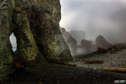 Destination Unknown: 'Forgotten Shores 1'