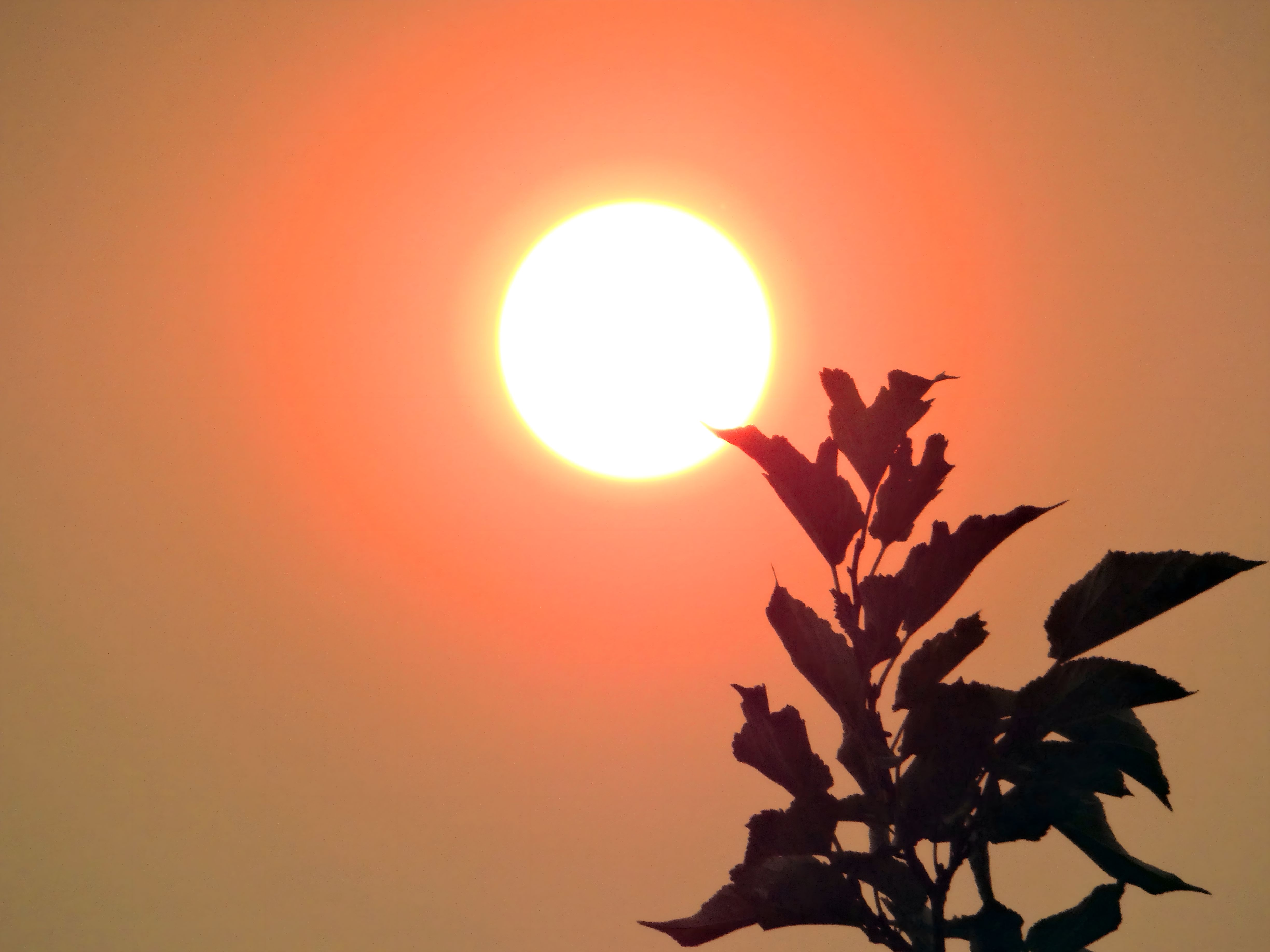 Lucent Designs Free Stock Image For Download #274 by Lucent-Designs-Media on DeviantArt