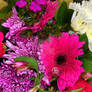 Lucent Designs Team Spring Flowers Showcase 5
