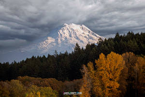 Destination Unknown: Pacific Splendor 54