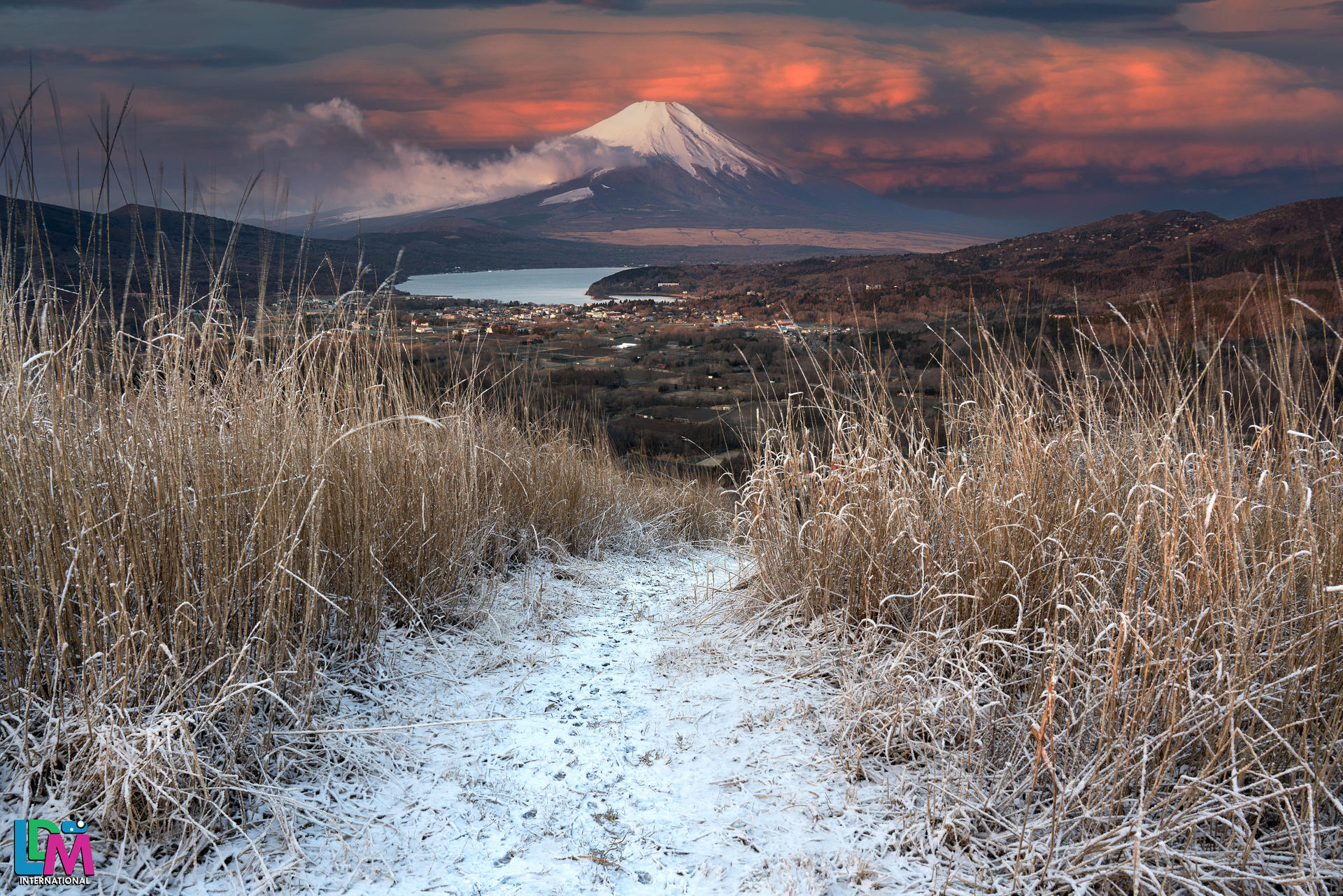Winterfest 2026 - Part 2: Shizuoka Countryside