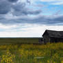 Painting: Plains of Saskatchewan