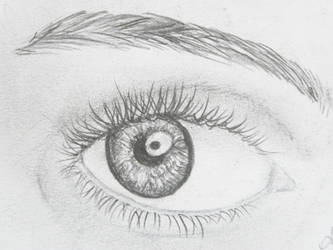 The eye.