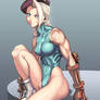 Street Fighter Cammy