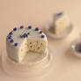 Miniature Blueberry Cake