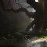 The Last Tree Dwelling