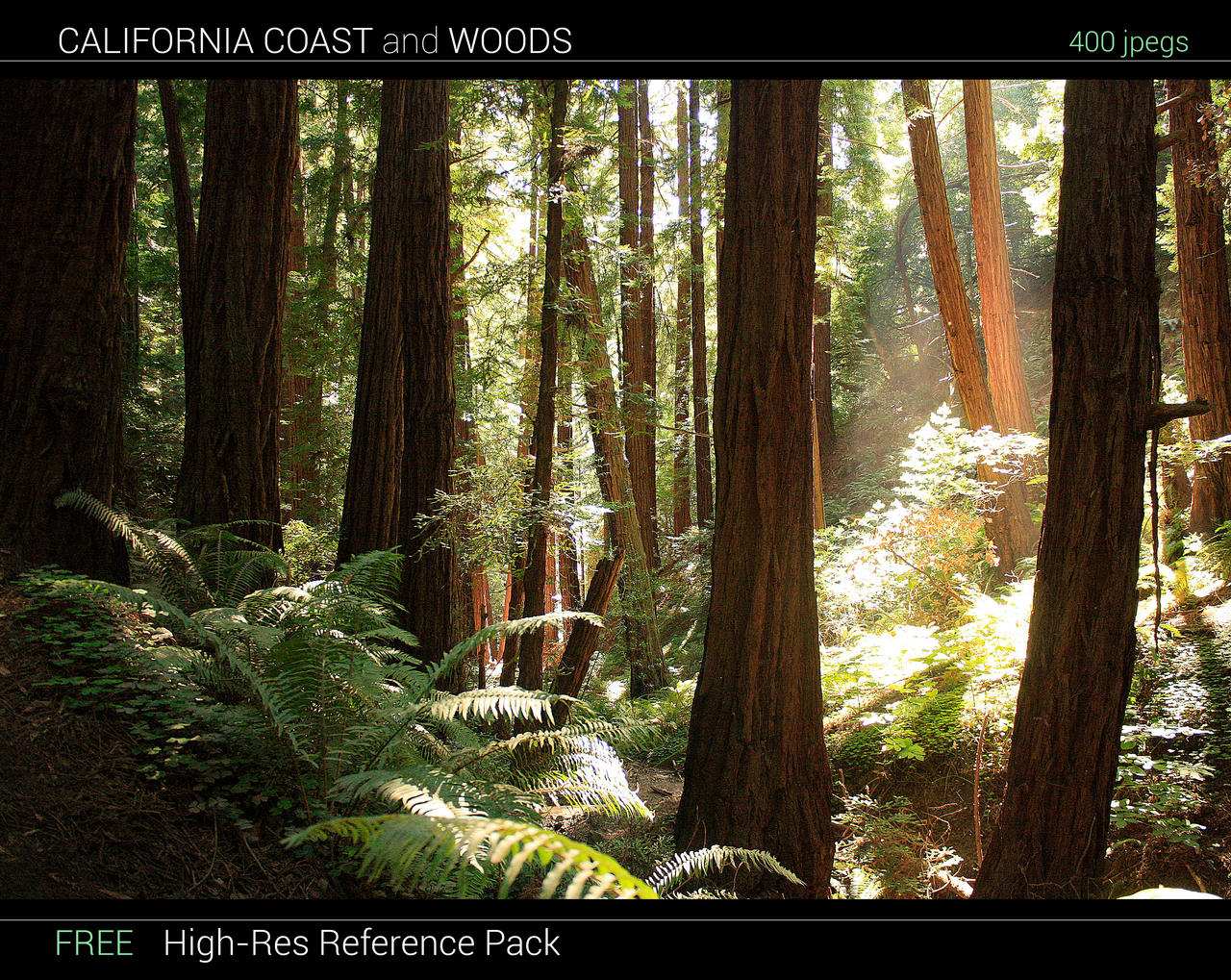 California Coast and Woods Reference Pack