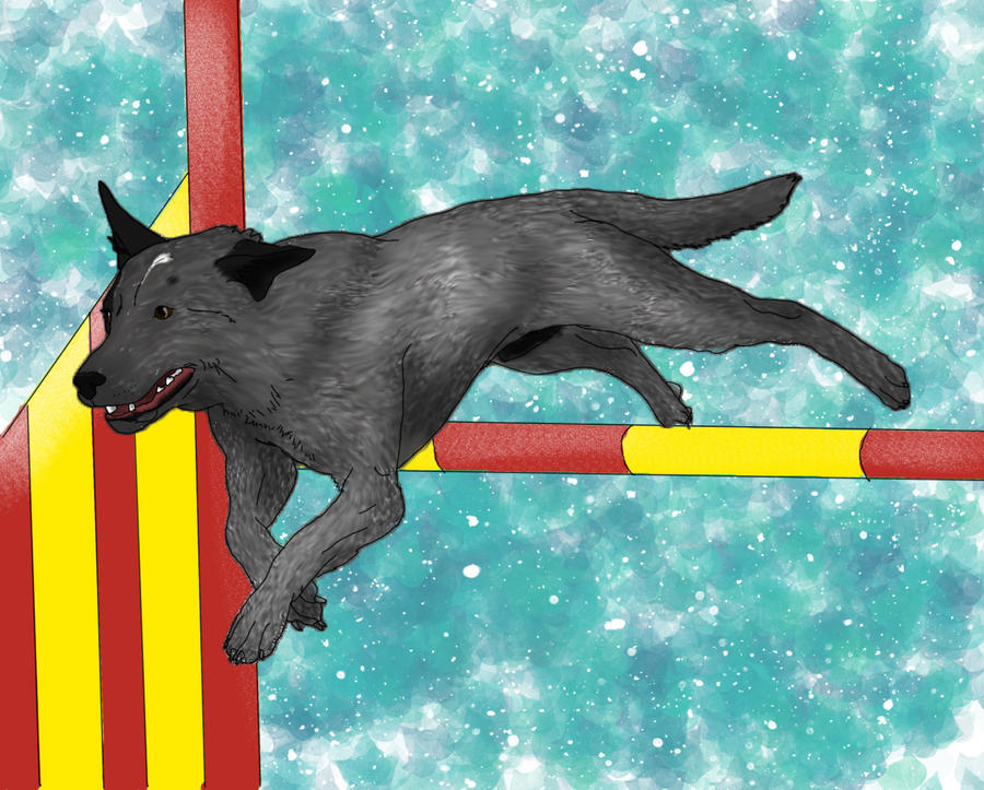 Deviantart Animal Jumping I can jump by horselady36501 on DeviantArt