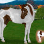 Temptress SOLD to angry-horse-for-life