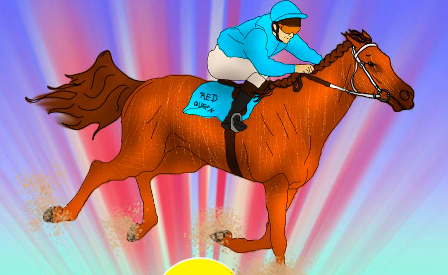 Red racing the sun