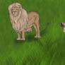 Lions