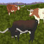 The Longhorns