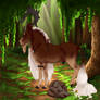 Moki| Stag |Herbalist