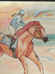 Racing the sun by horselady36501