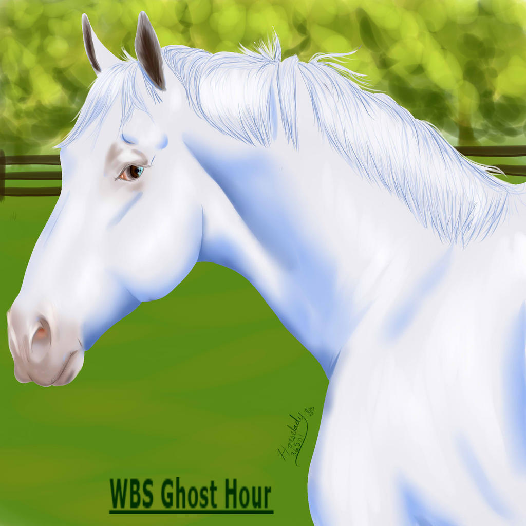 Ghost Hour prize
