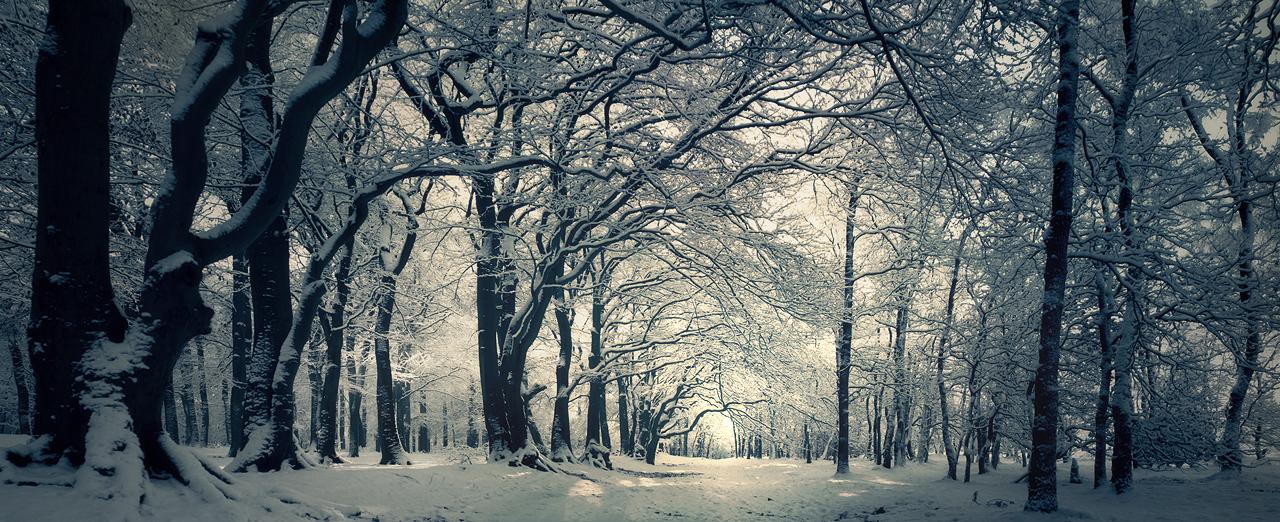 Street of Snow