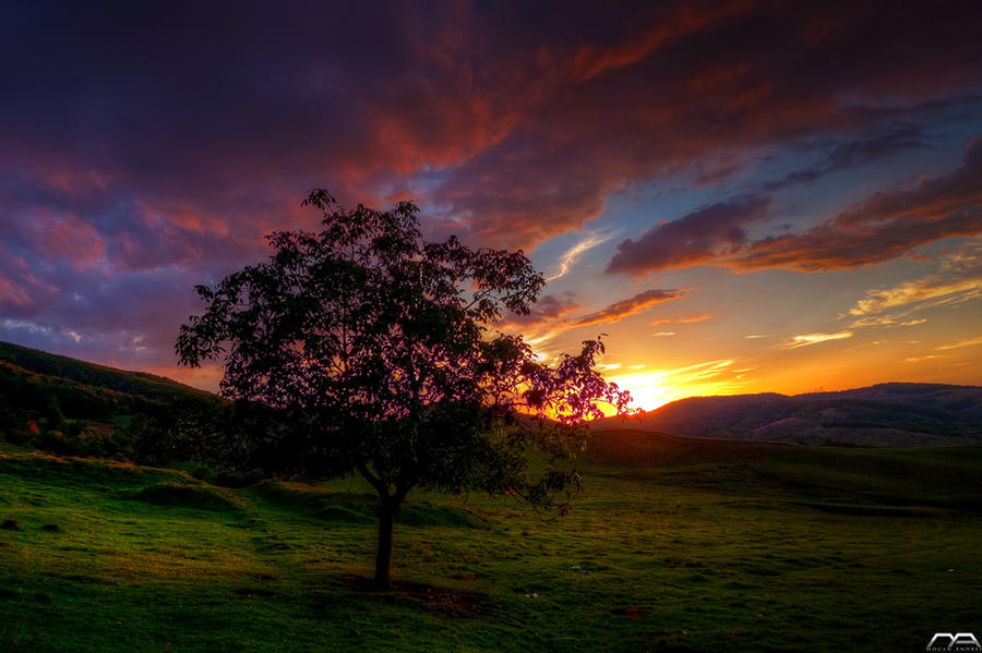 Just a touch of light by andreimogan