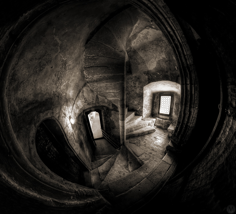 Spiders' view