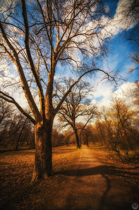 Walk in the park