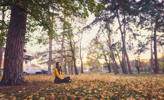 Relax in the park