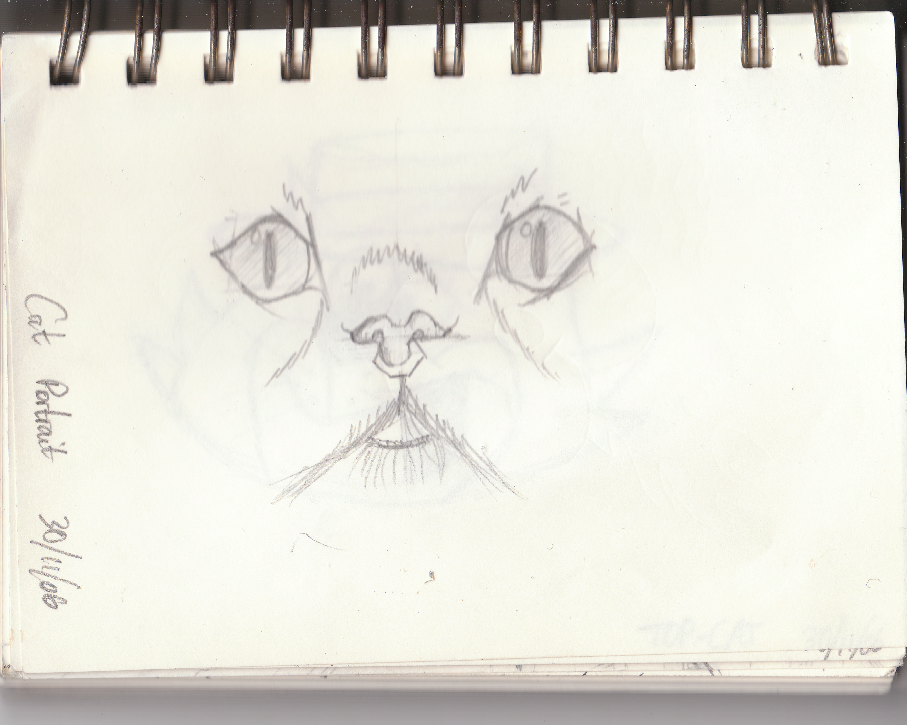 Siamese Cat sketch by pencilandpaperaddict on DeviantArt