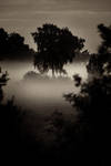 morning mist by Heardbydeaf
