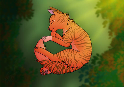 Squirrelflight 2019